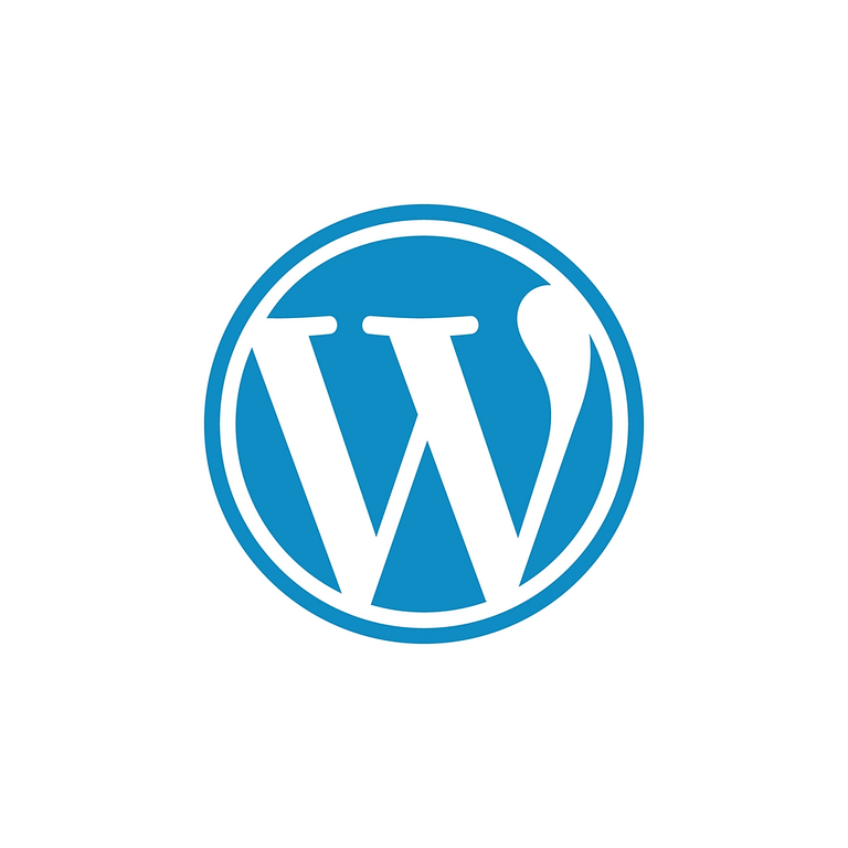 A Beginner’s Guide to WordPress: First Introduction to WordPress